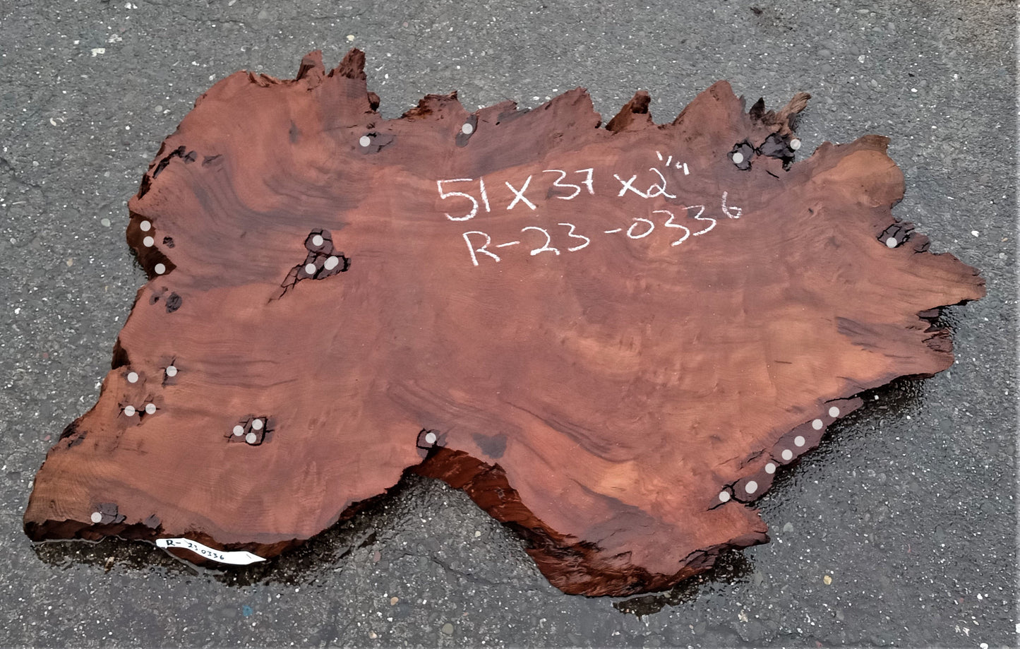 Redwood lace burl | live edge | DIY | epoxy river table | burl | r23-0336