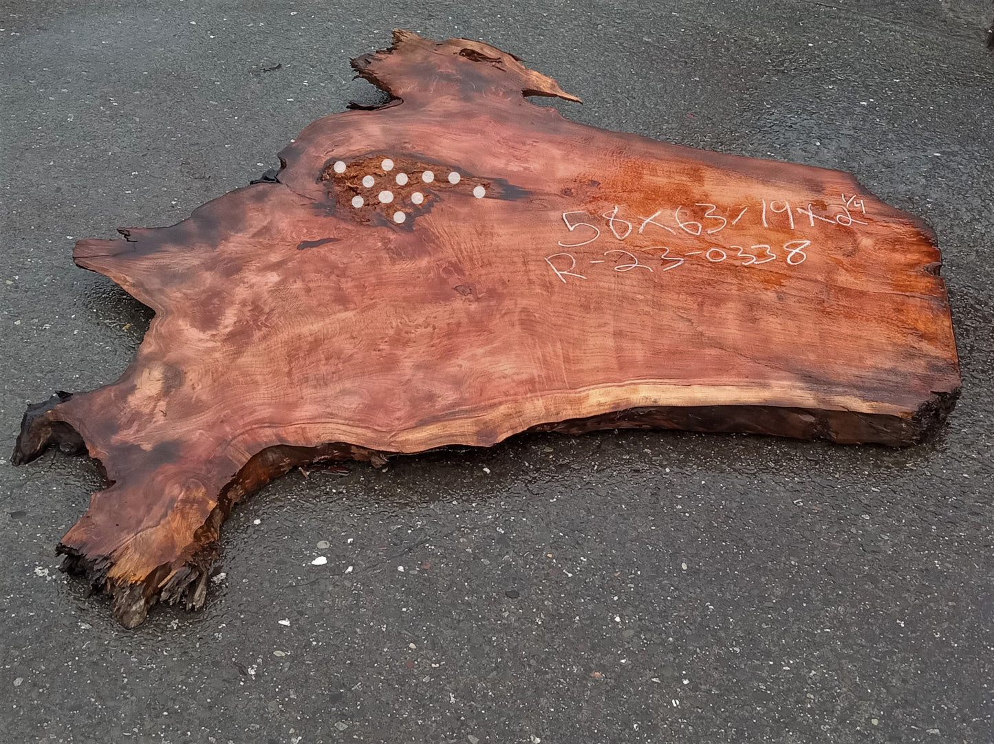 Redwood lace burl | live edge | DIY | epoxy river table | burl | r23-0338
