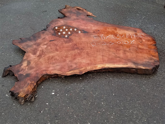Redwood lace burl | live edge | DIY | epoxy river table | burl | r23-0338