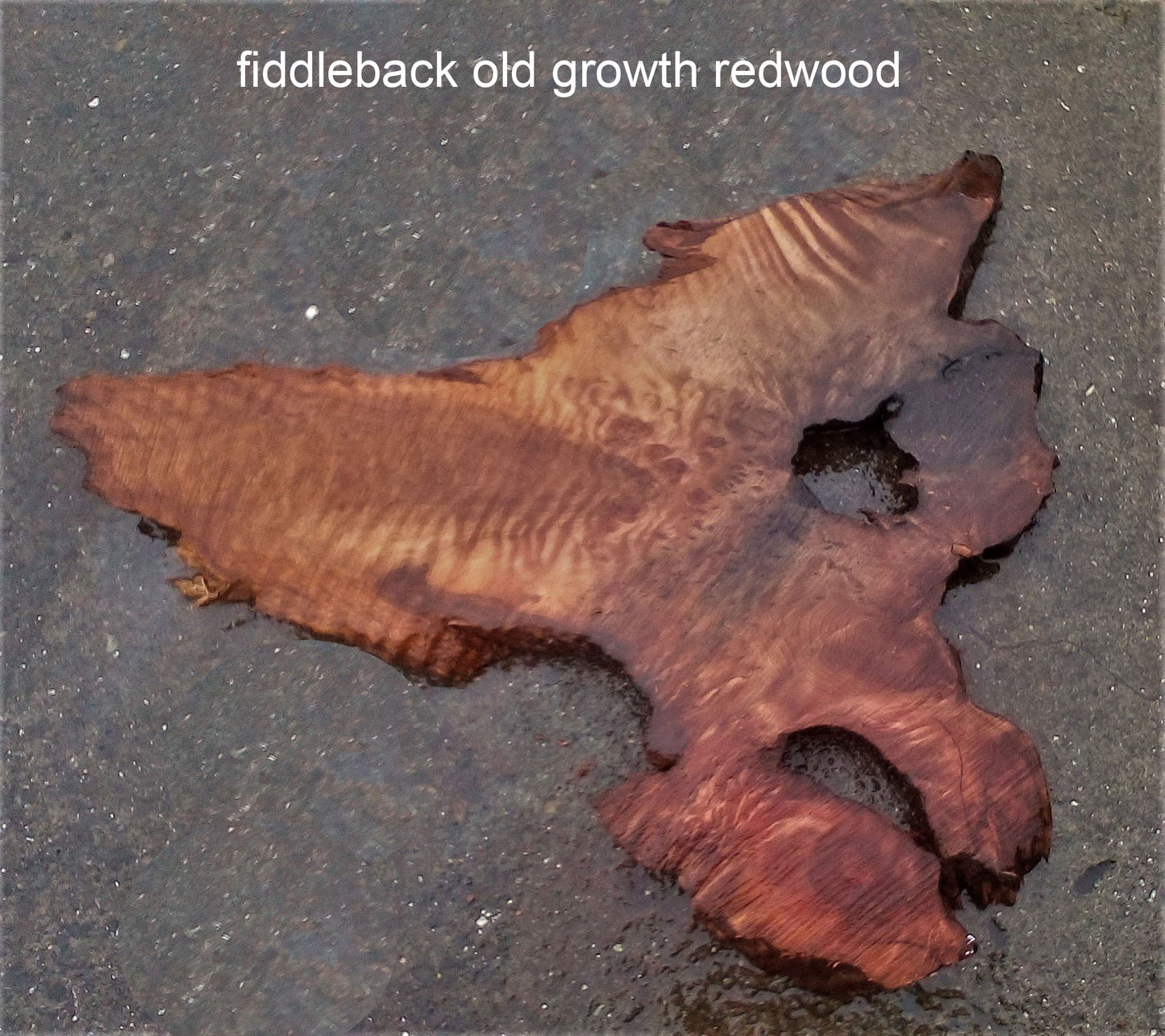 quilted redwood slab | live edge | epoxy river table | headboard | r23-0358