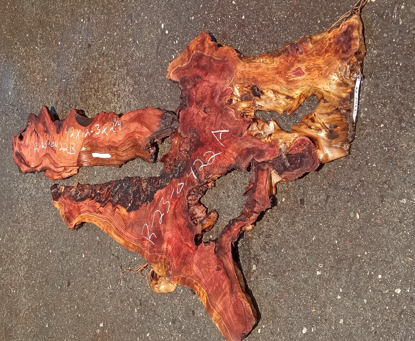 Redwood burl | live edge | DIY | epoxy river table | burl | r23-0338