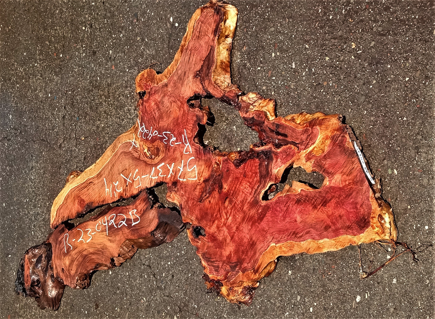 Redwood burl | live edge | DIY | epoxy river table | burl | r23-0338