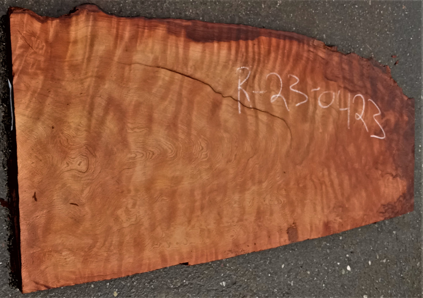 Redwood burl | live edge | DIY | epoxy river table | burl | r23-0423