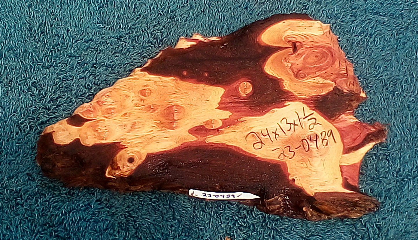 redwood burl | live edge | DIY wood | craft woods | r23-0489