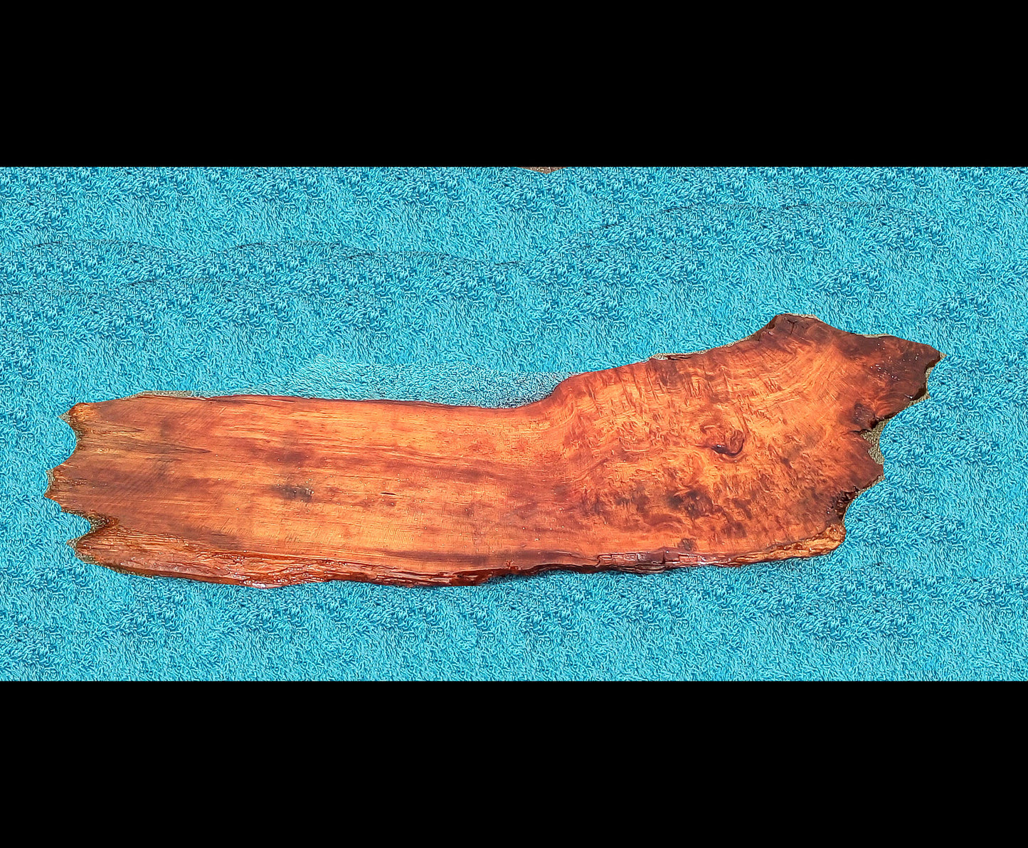 curly redwood burl slab | live edge | DIY | epoxy river table | burl | r23-0554