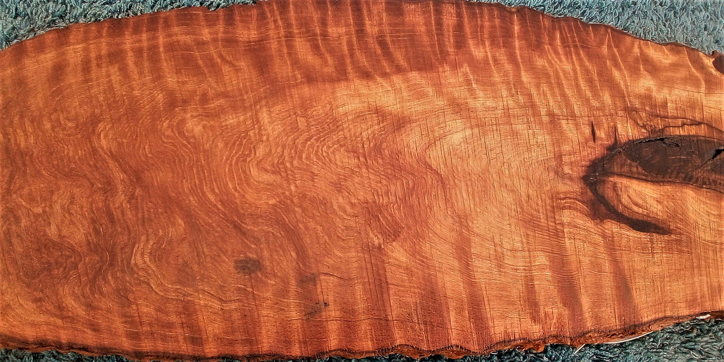 curly redwood slab | live edge | burl table | guitar billet | r23-0557