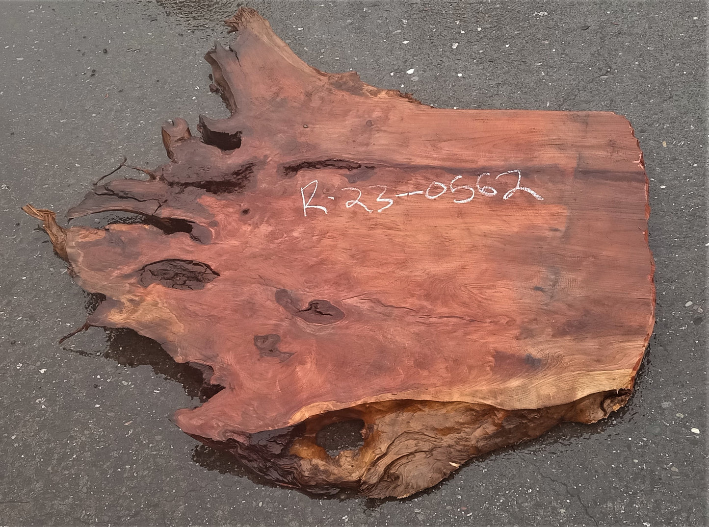 redwood burl | epoxy river table | DIY wood crafts | table | r23-0562