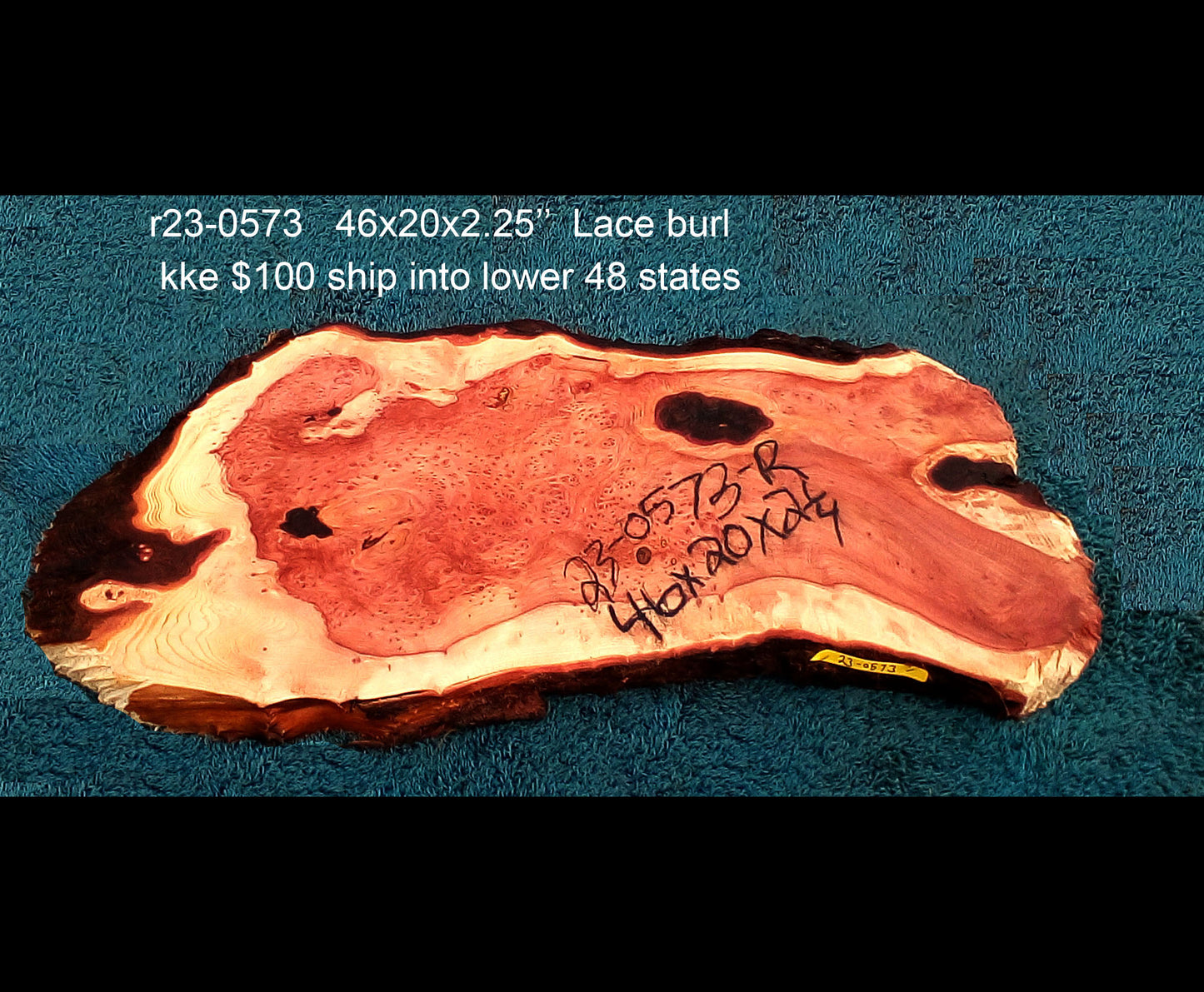 redwood lace burl | live edge | DIY | burl table | river table | r23-0573