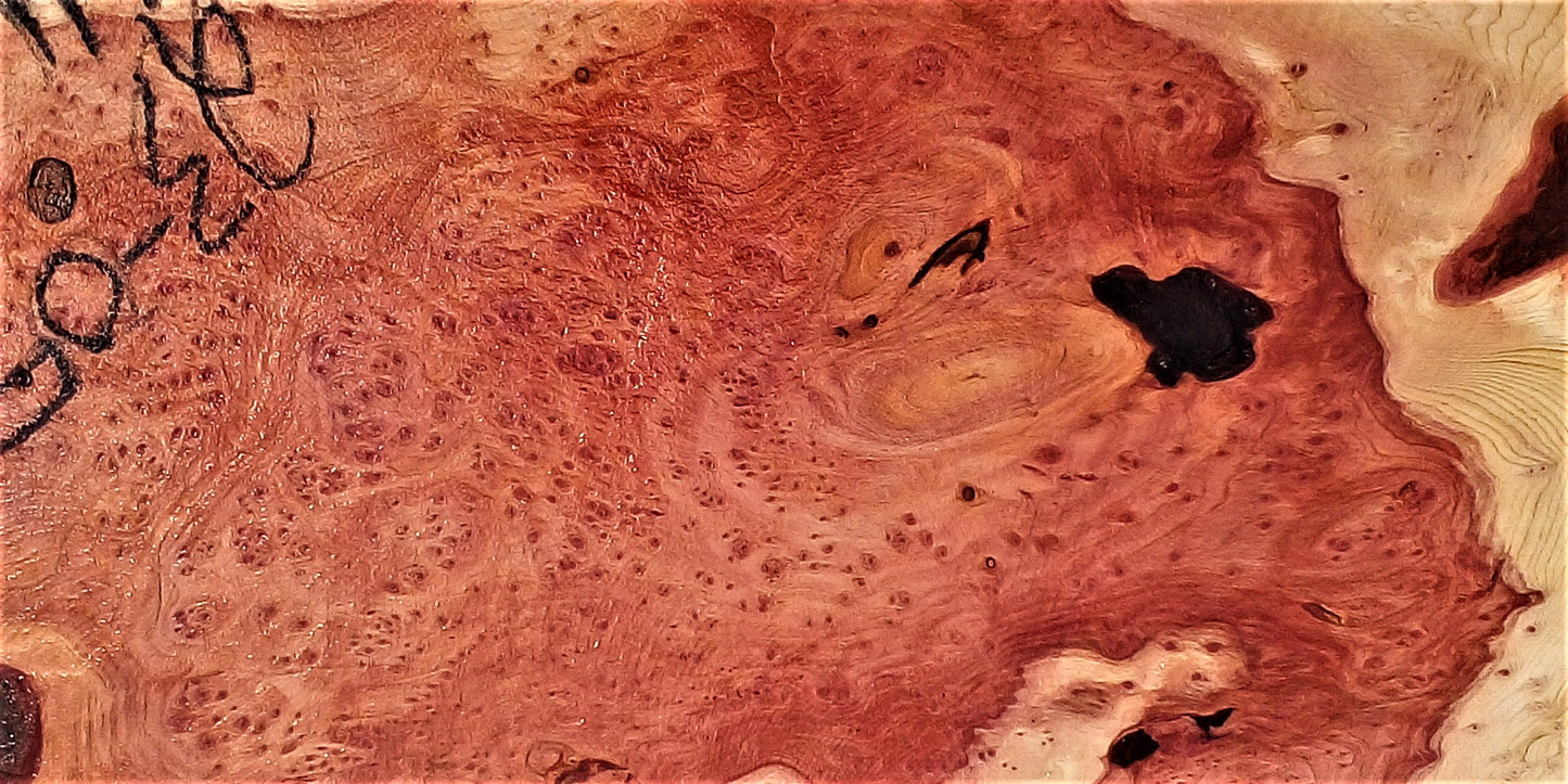 redwood lace burl | live edge | DIY | burl table | river table | r23-0573