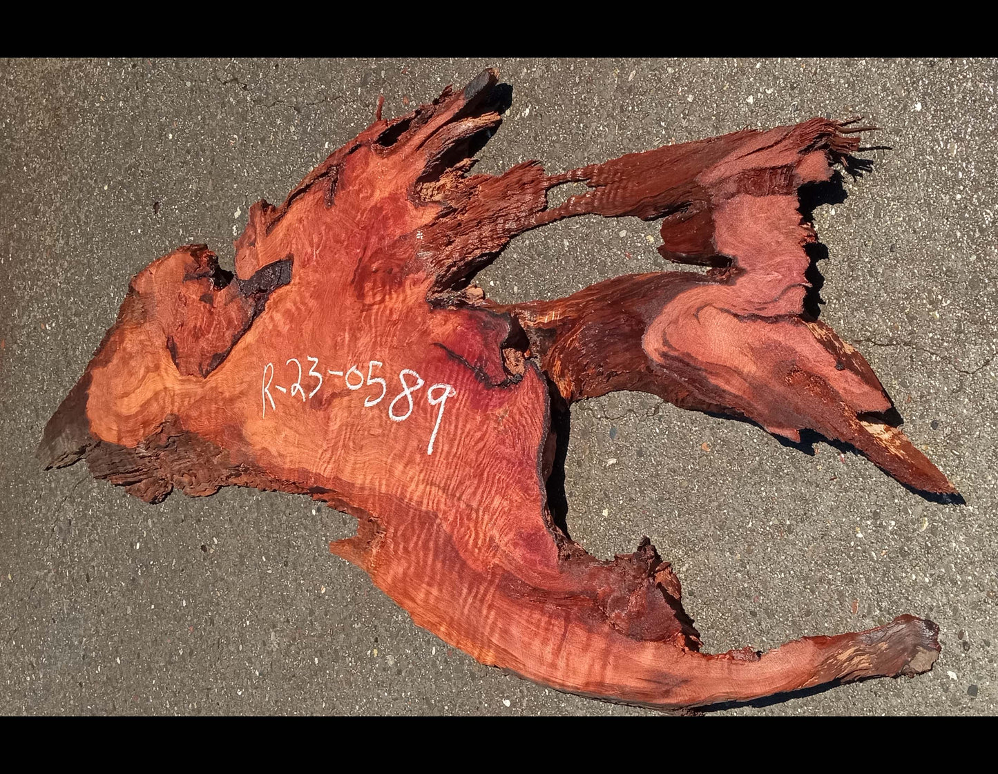 Curly redwood | live edge | epoxy river table | headboard | r23-0589