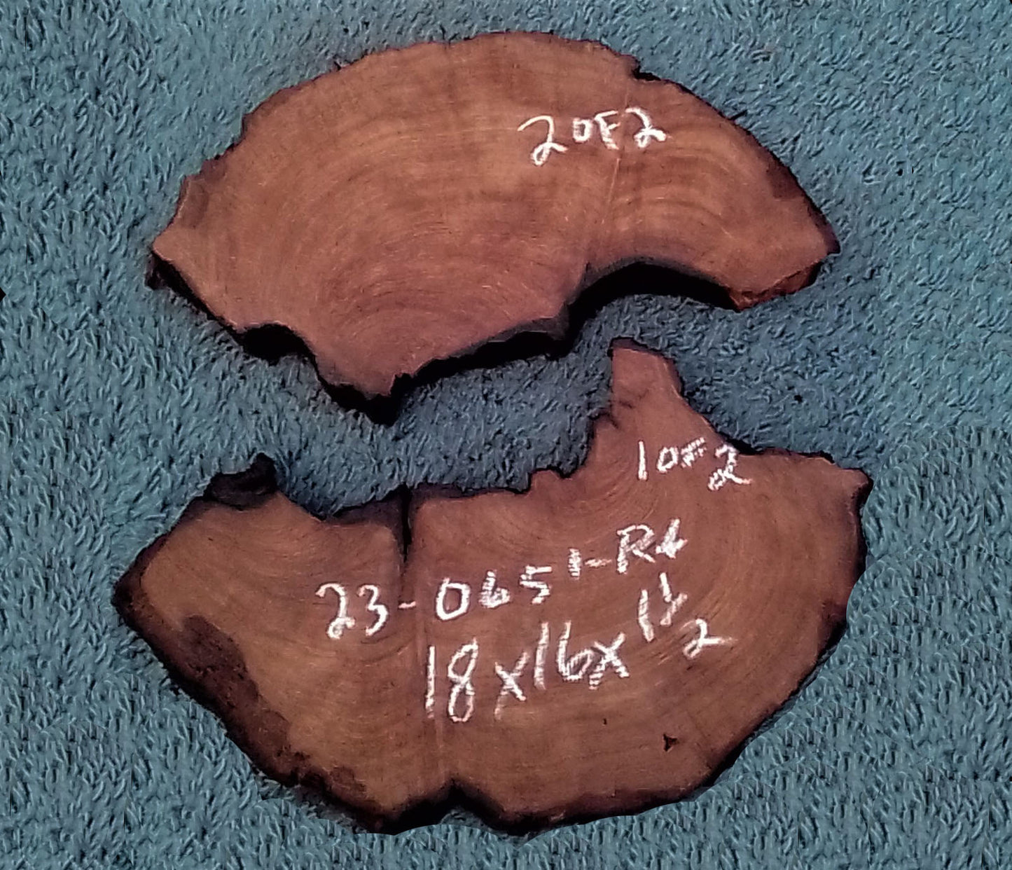 craft woods | live edge | cookie cut | DIY | pedestals | r23-0651