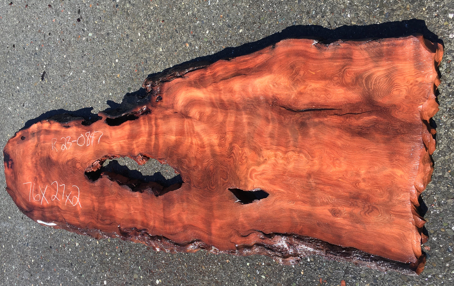 Quilted redwood curly | craft woods | DIY craft woods | r23-0847