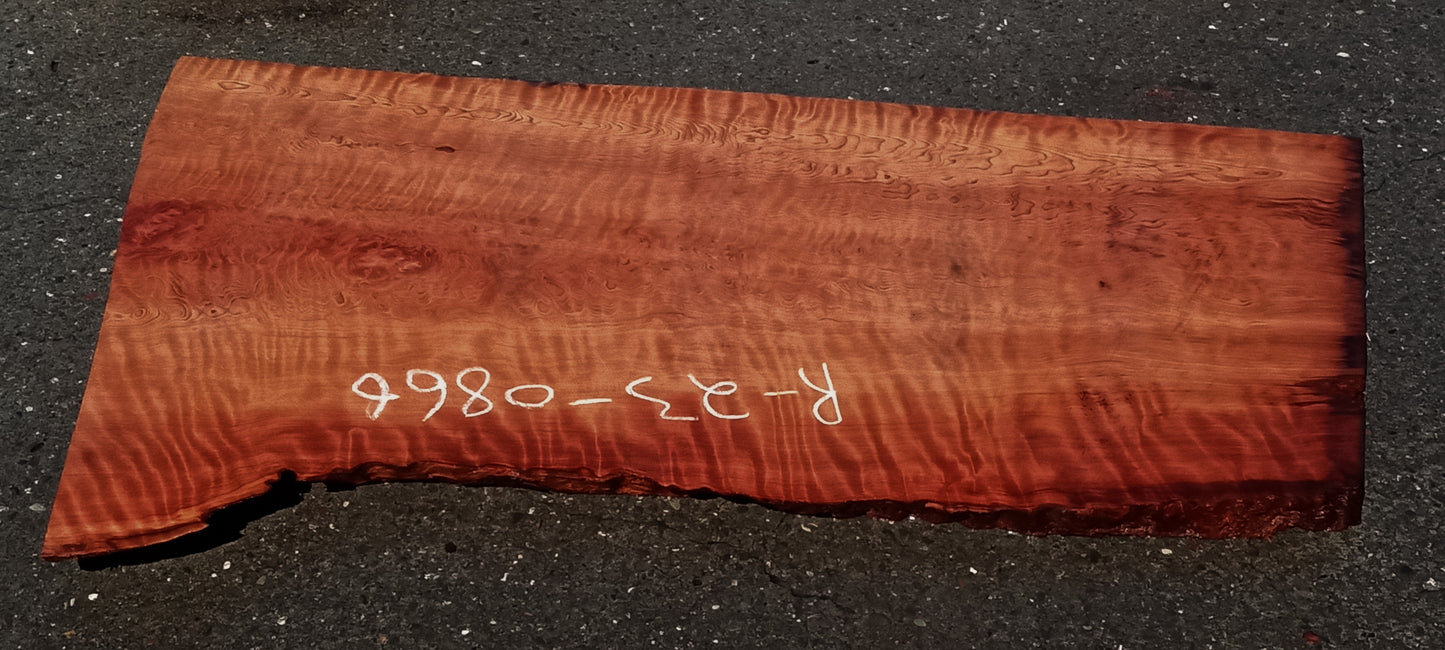 Quilted Redwood Slab | DIY | River Table | guitar billets | R23-0866