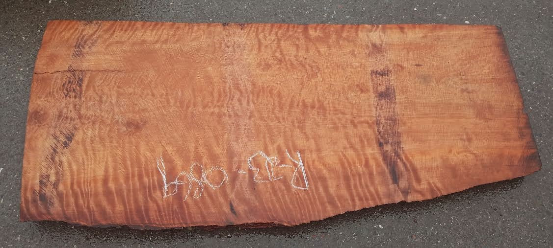 Quilted redwood curly | craft woods | DIY craft woods | r23-0869