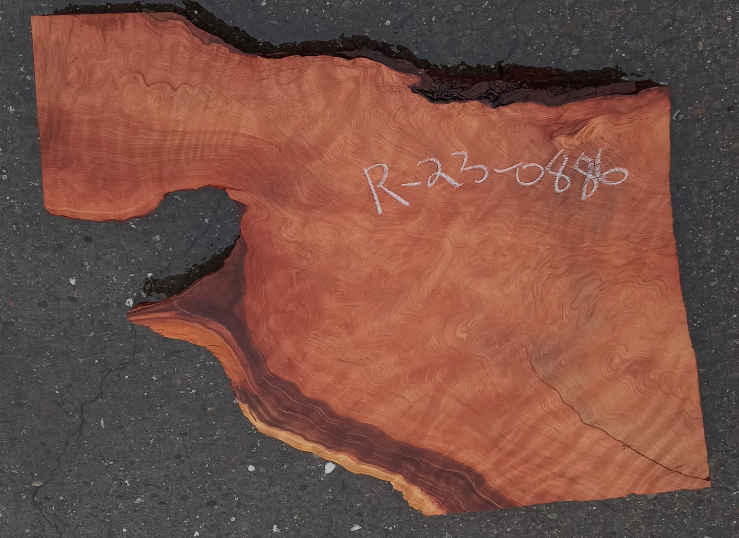 quilted redwood | curly | DIY wood crafts | r23-0886