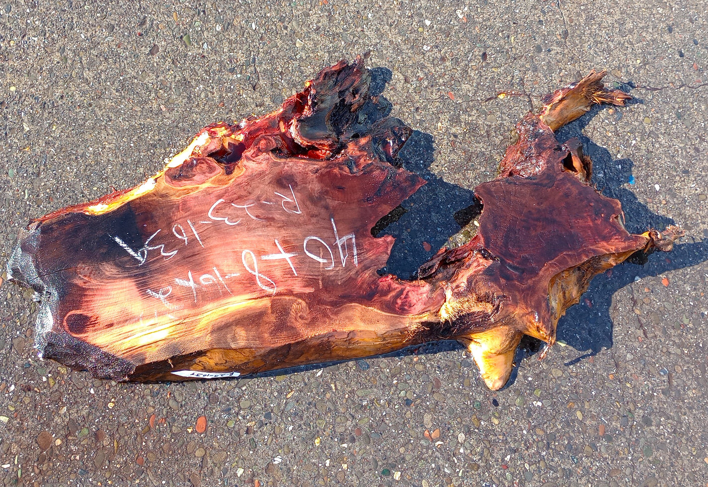 Live Edge Redwood Slab | Table | epoxy river table | DIY crafts | R23-0139