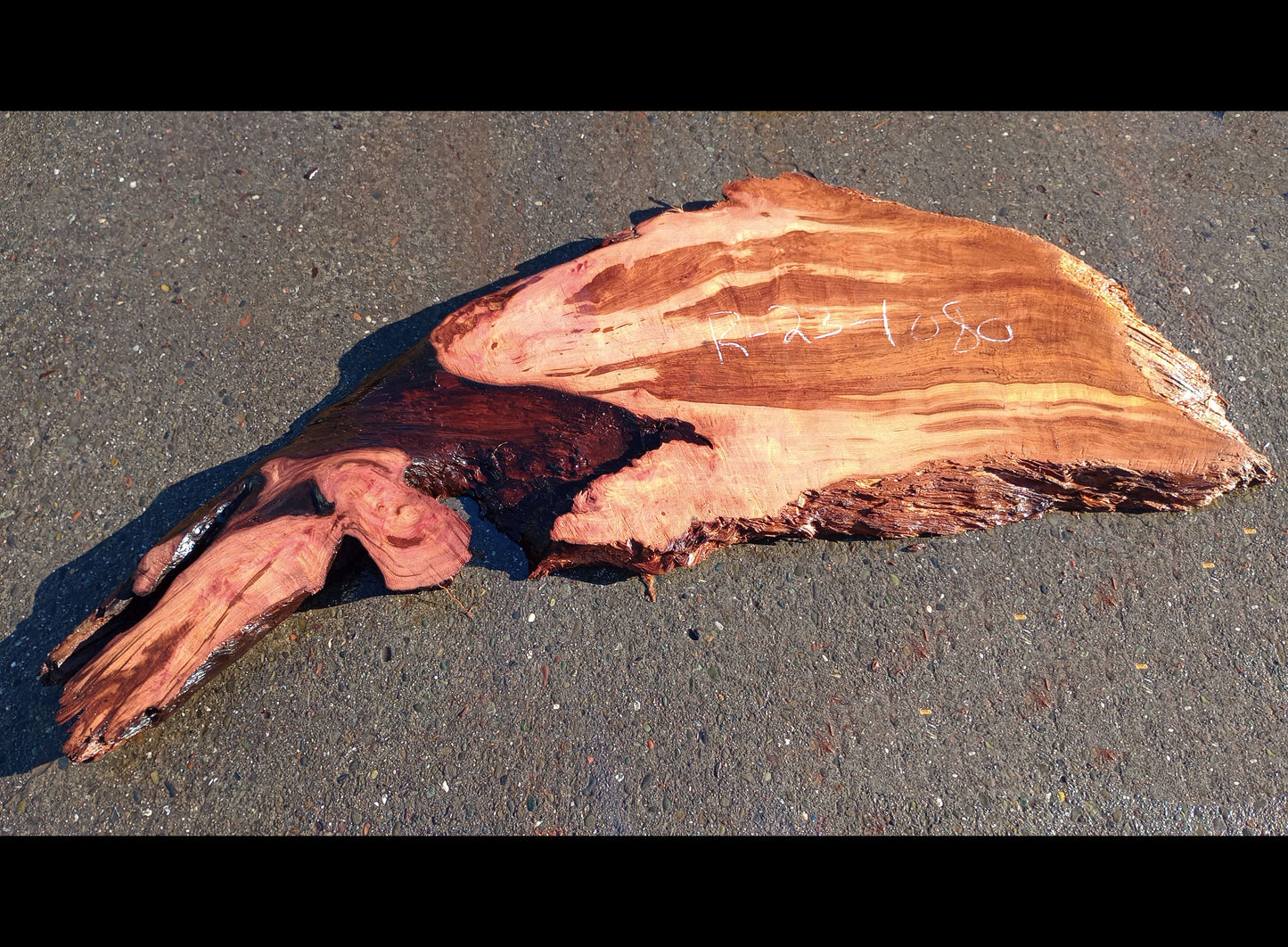 Live Edge Slab | burl | old growth redwood | epoxy river table | r23-1080