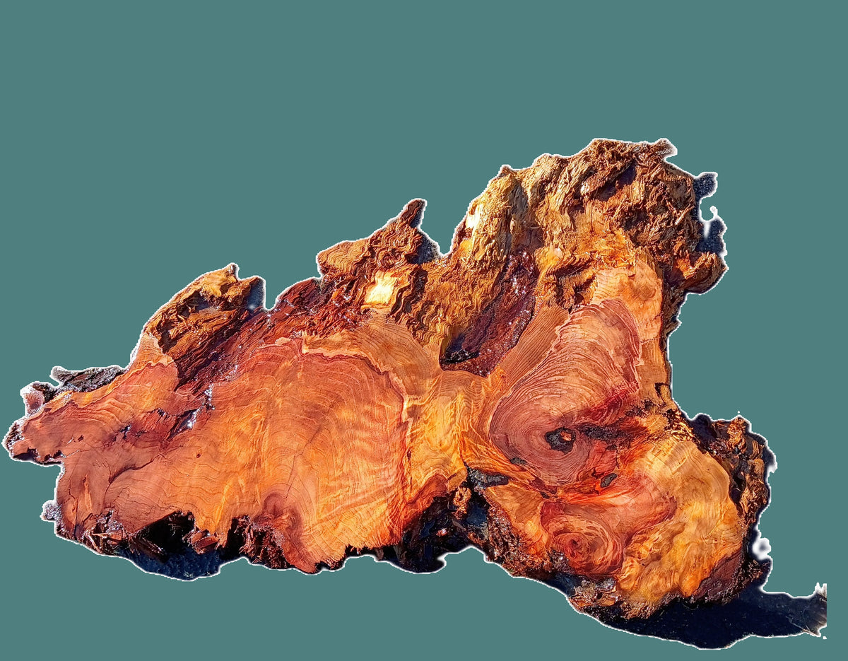 Curly Redwood Burl | DIY | River Table | Craft Wood | R23-1127