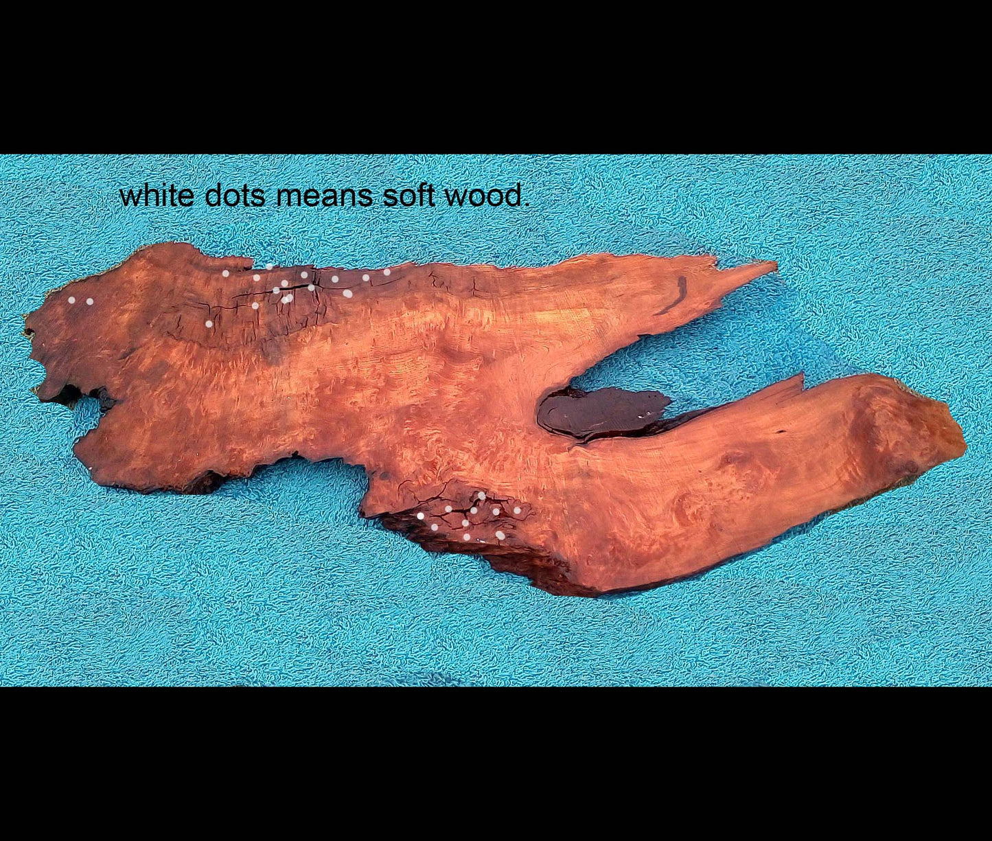 Redwood burl slab | live edge | DIY | river table | headboard | r23-0526
