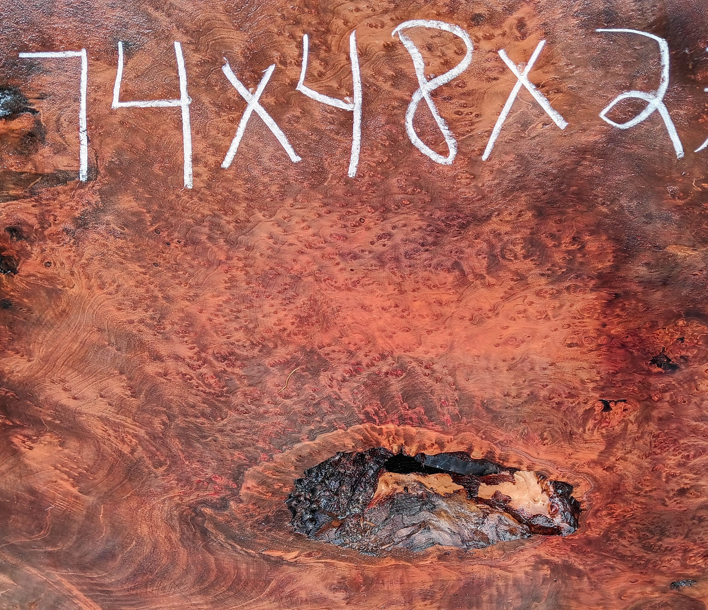 Redwood Burl | lace burl cut | River Table | Craft Wood | R22-0578