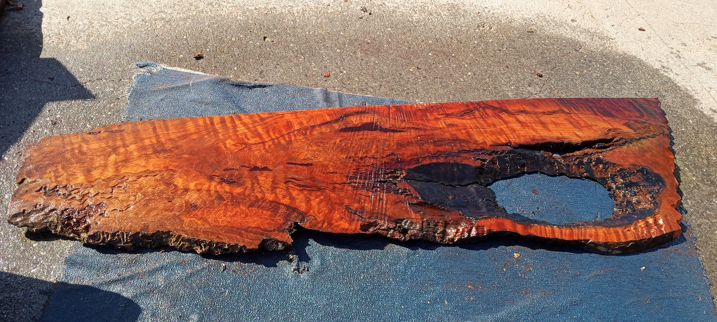 Live Edge Curly | River Table | Wall Art | Diy Craft Wood| Desk | R24-0753