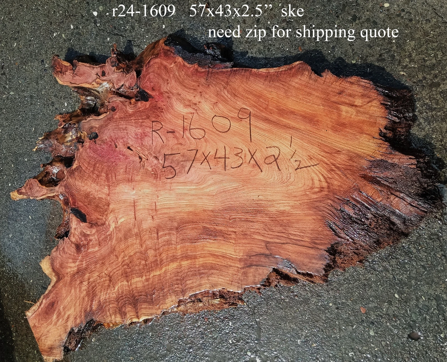 r24-1609 | redwood burl slab | r24-1609 |