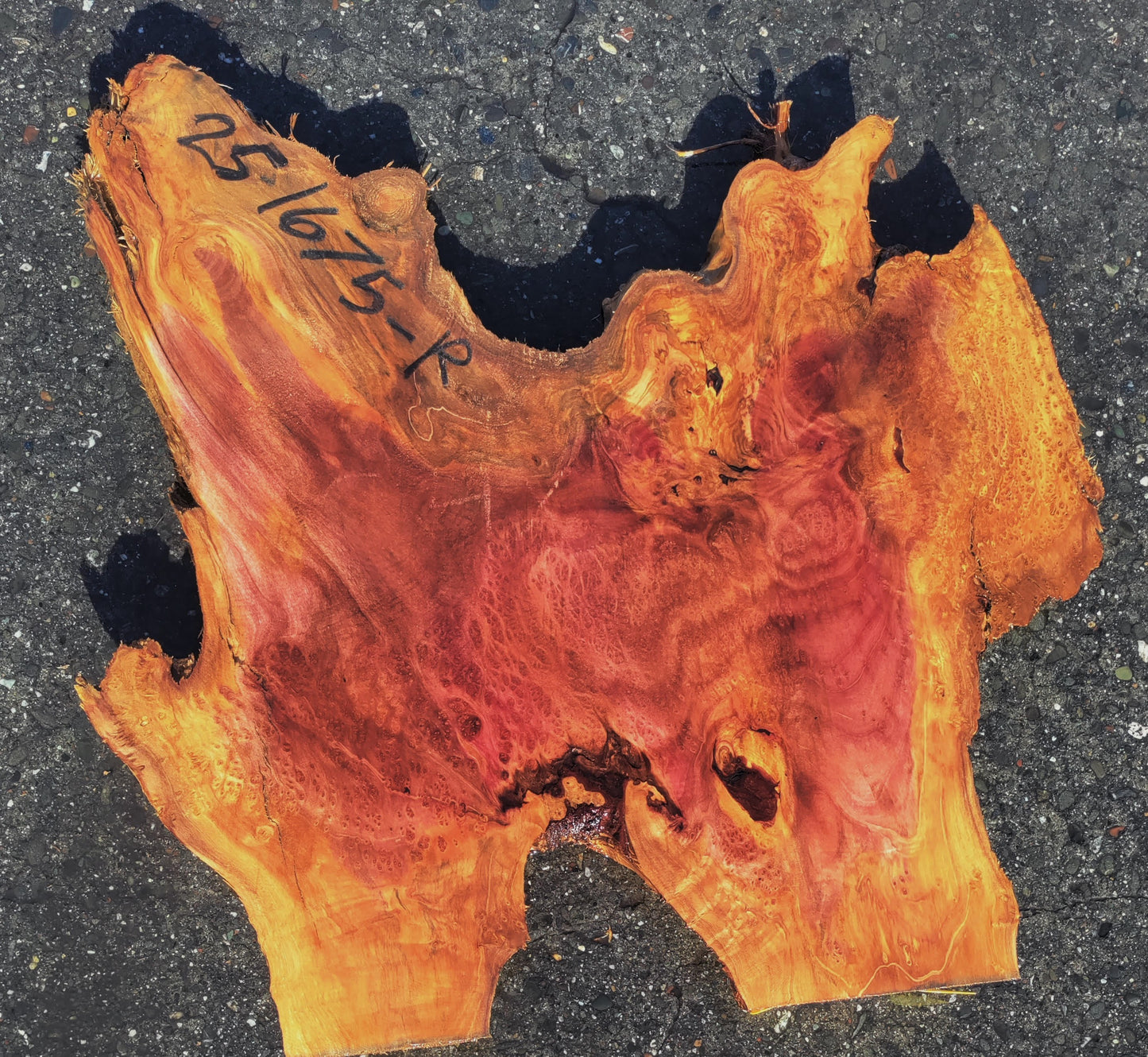 Redwood slab | Redwood Burl | Redwood Lace Burl | DIY | R24-1675