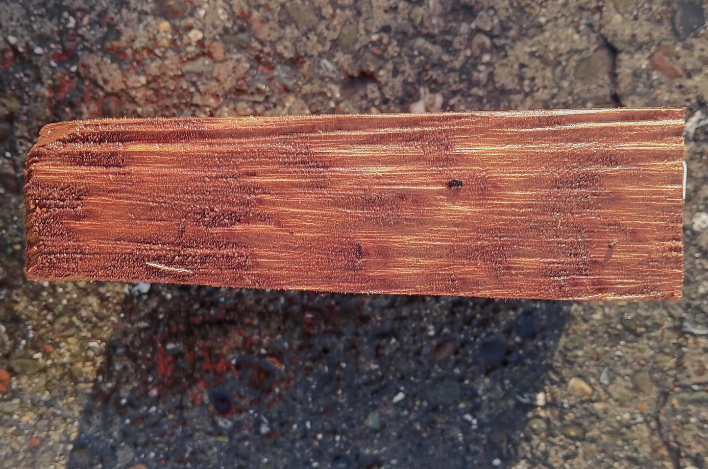 Redwood Burl | Turning block | Craft Wood | R24-1867