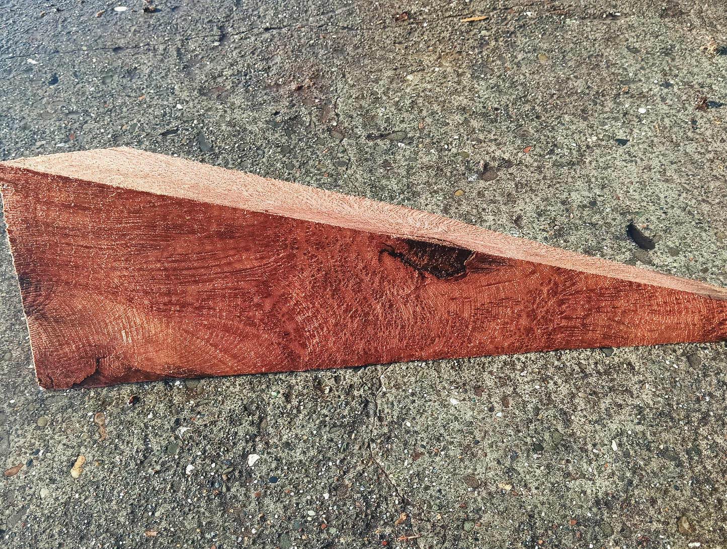 Redwood Burl | DIY Crafts | Craft Wood | R24-1883