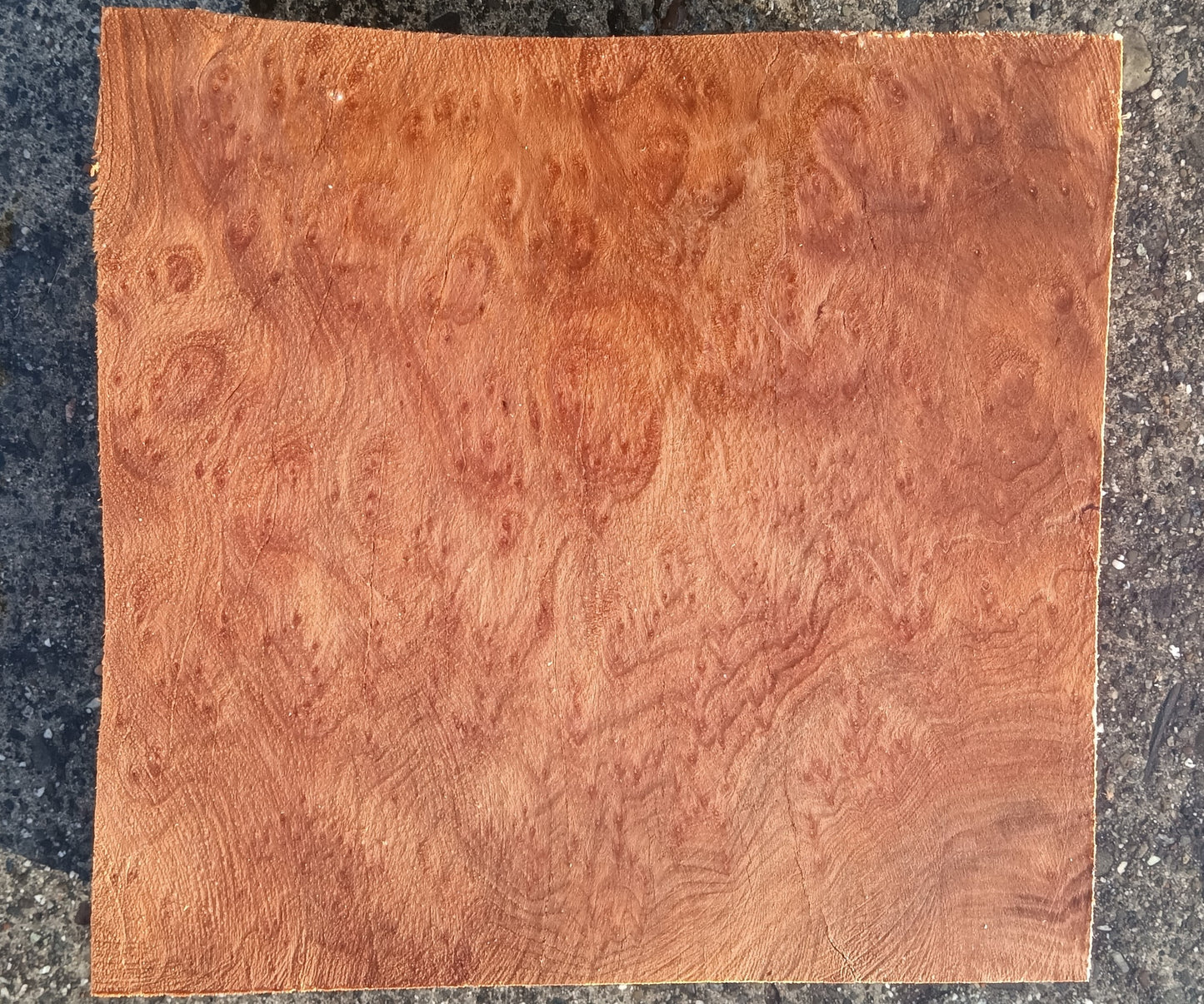 Redwood Burl Cap | Turning block | Craft Wood | R24-1892