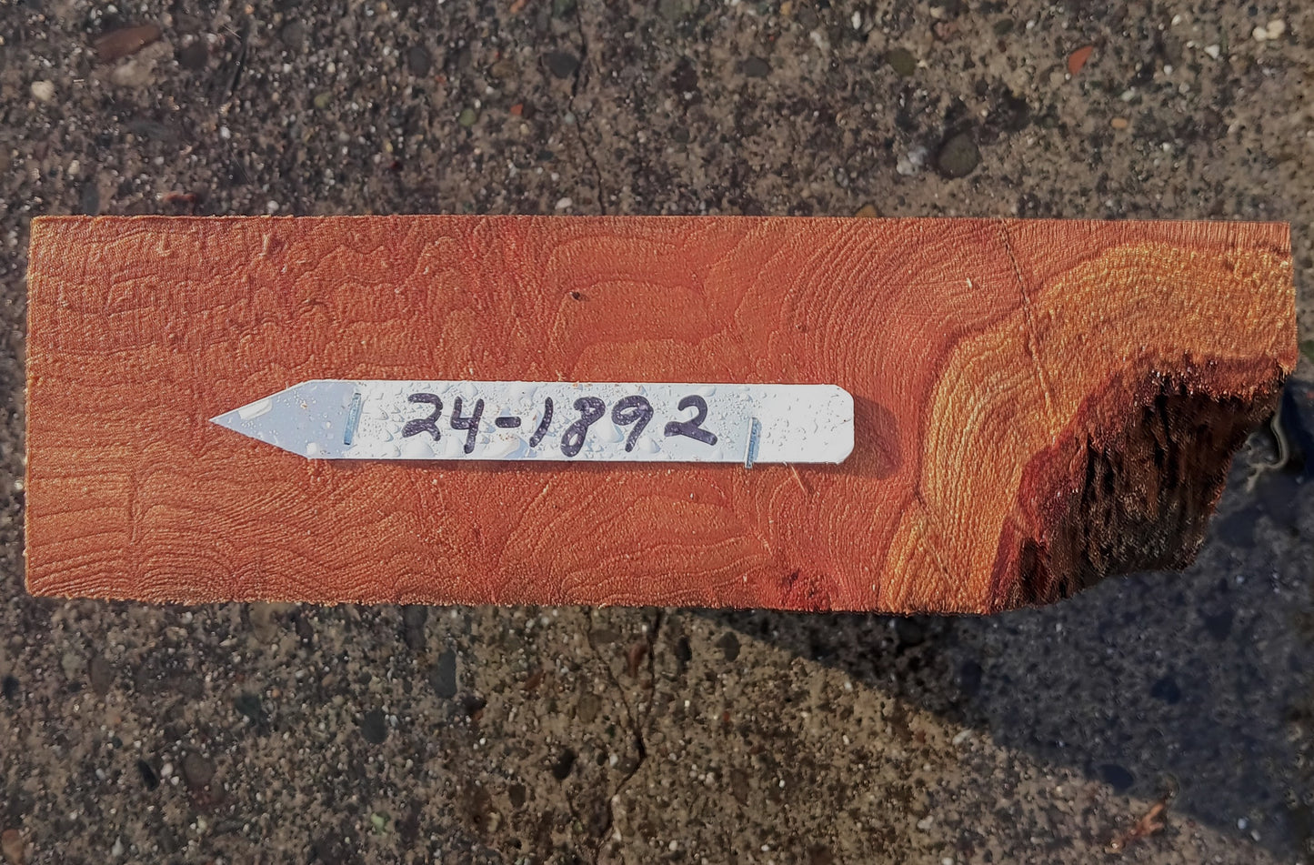 Redwood Burl Cap | Turning block | Craft Wood | R24-1892
