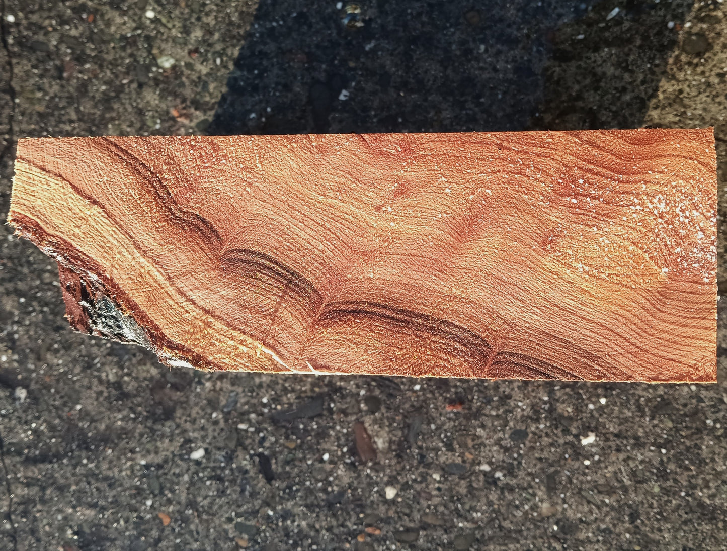 Redwood Burl Cap | Turning block | Craft Wood | R24-1892