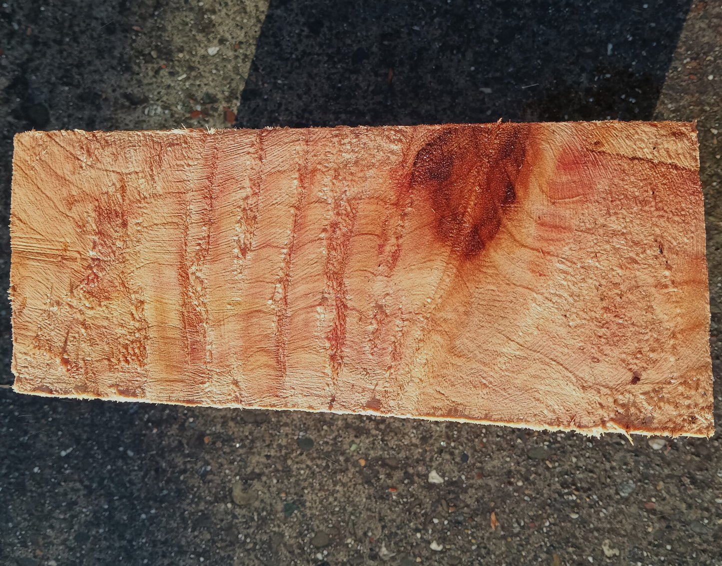 Redwood Burl | Turning block | Craft Wood | R24-1860