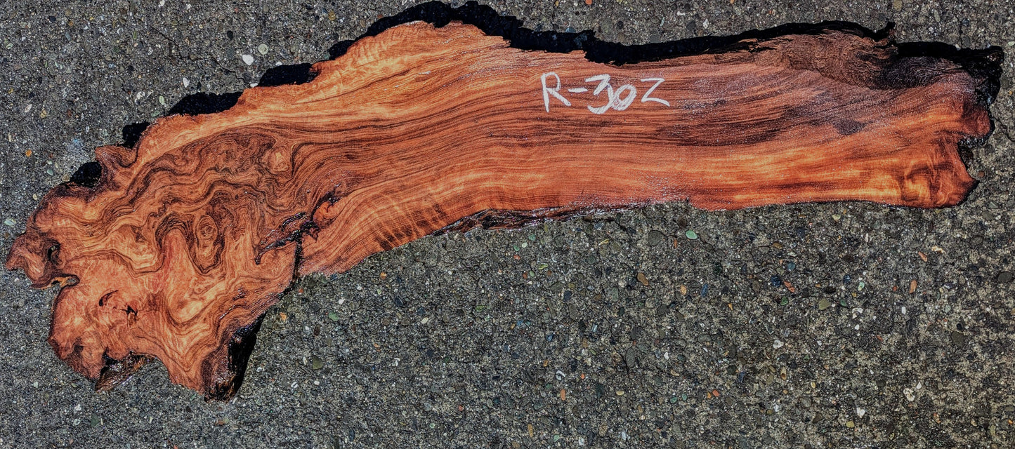 Redwood burl slab | Burl slab | Epoxy River Table | DIY Wood | r24-302