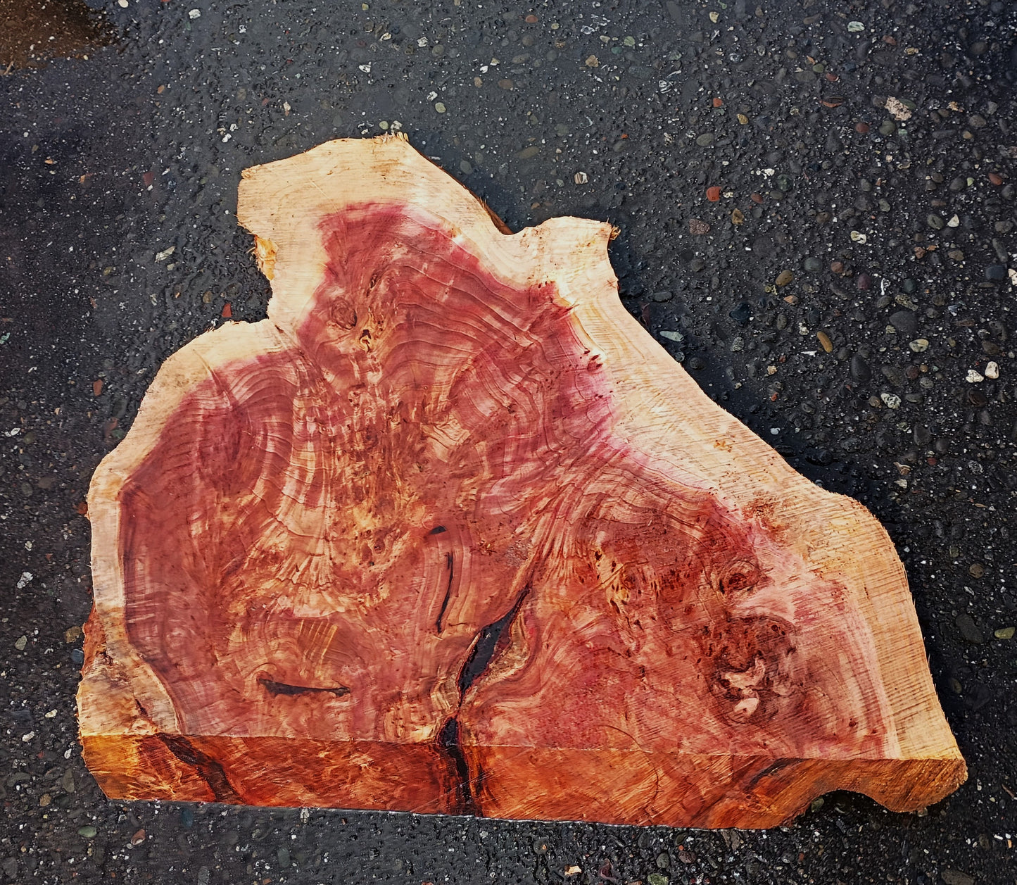 Redwood Burl | DIY Crafts | Burl Slab | River Table | R25-2340