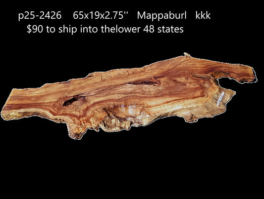 CottonWood Burl  | Live Edge |  DIY Crafts | River Table | P25-2426