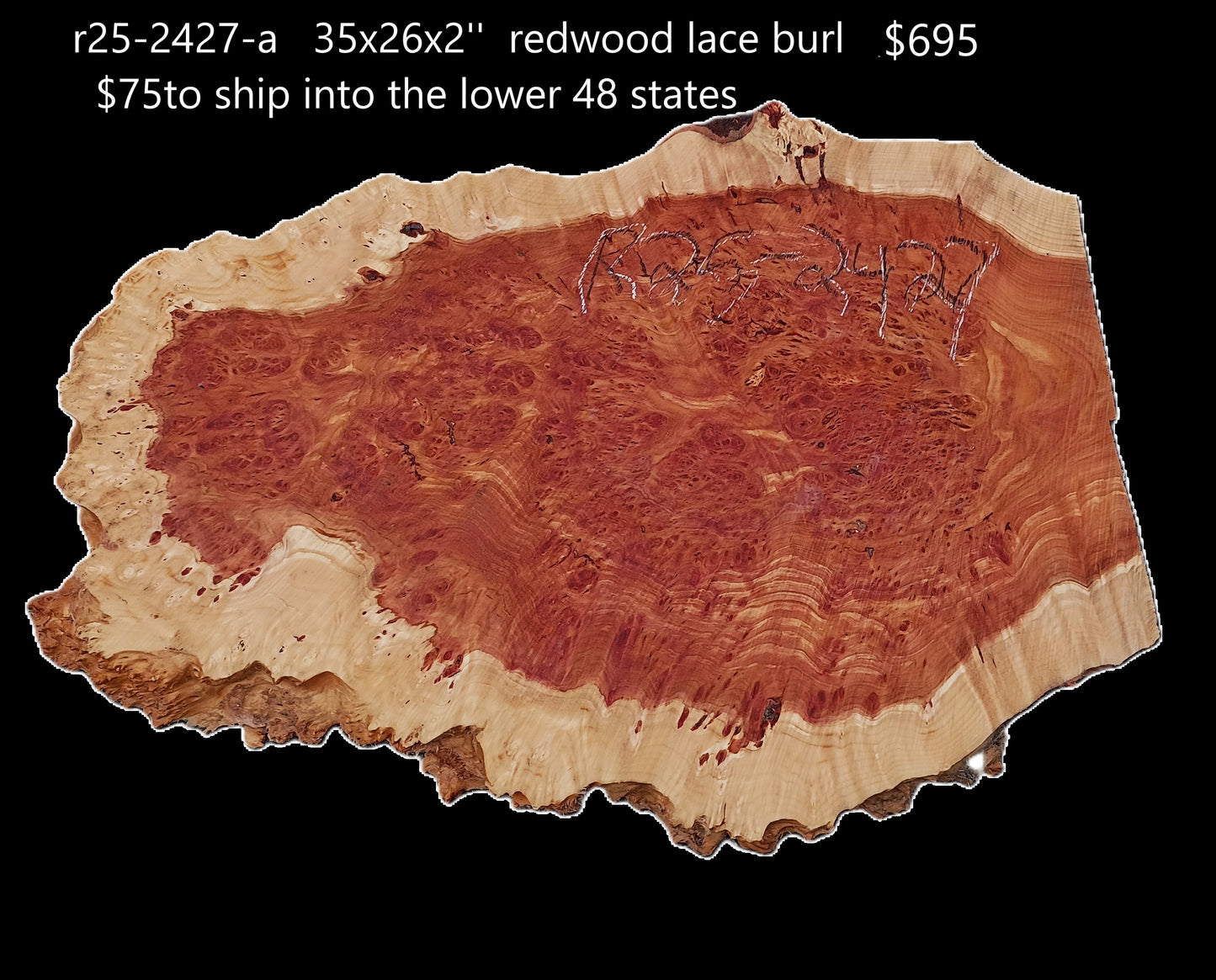 Redwood Lace Burl | Craft Wood | Table | DIY | GUITAR BILLET | R25-2427