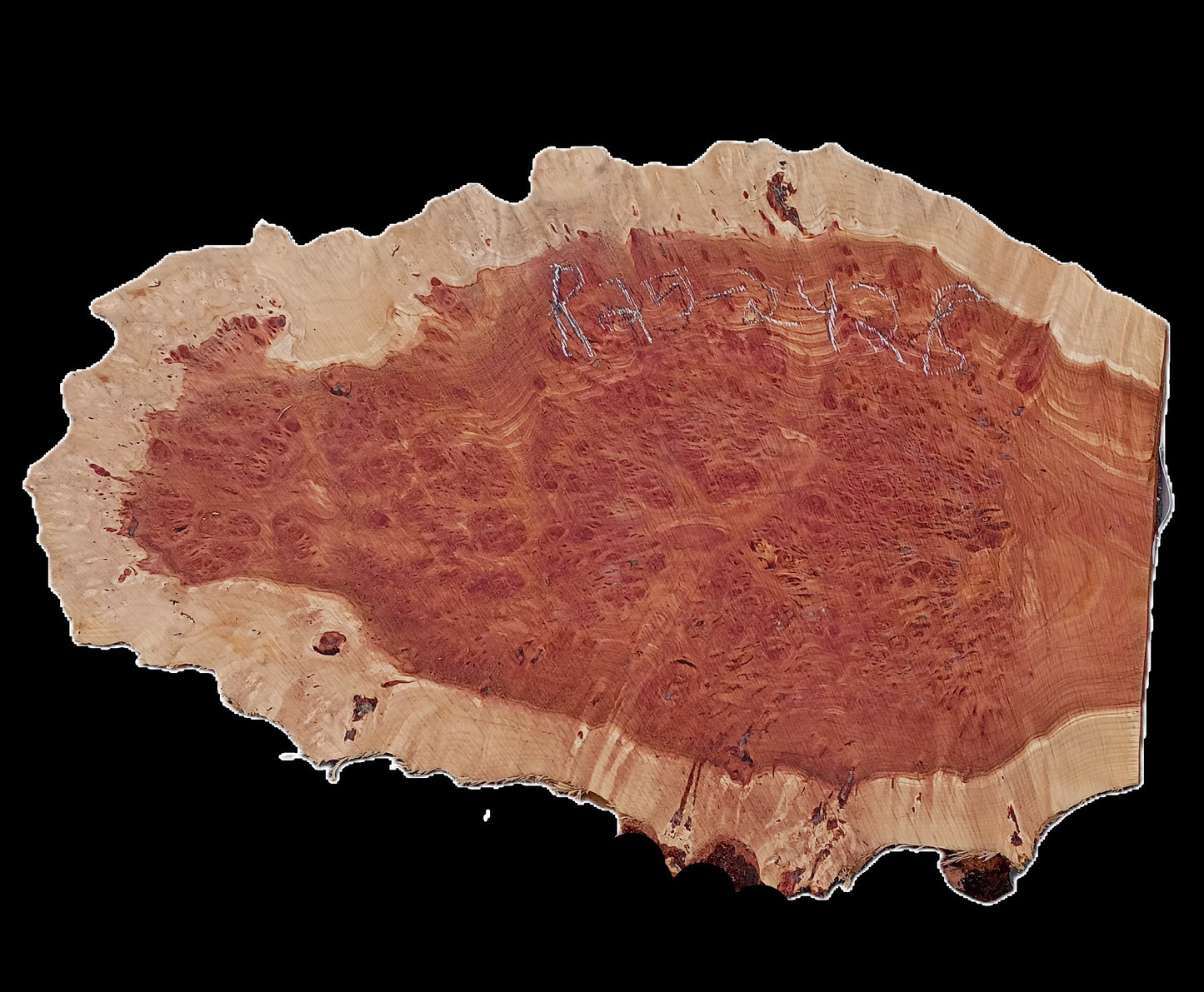 Redwood Lace Burl Slab | DIY Crafts | Redwood Burl | River Table | R25-2429
