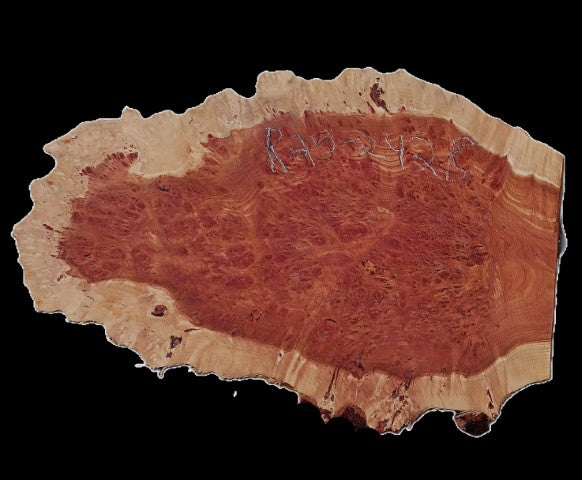 Redwood Lace Burl | Craft Wood | Table | DIY | R25-2428