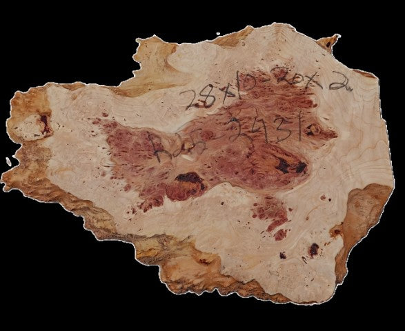 Redwood Burl Slab | Craft Wood | Table | DIY | R25-2431