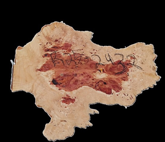 Redwood Burl Slab | Craft Wood | Table | DIY | R25-2432
