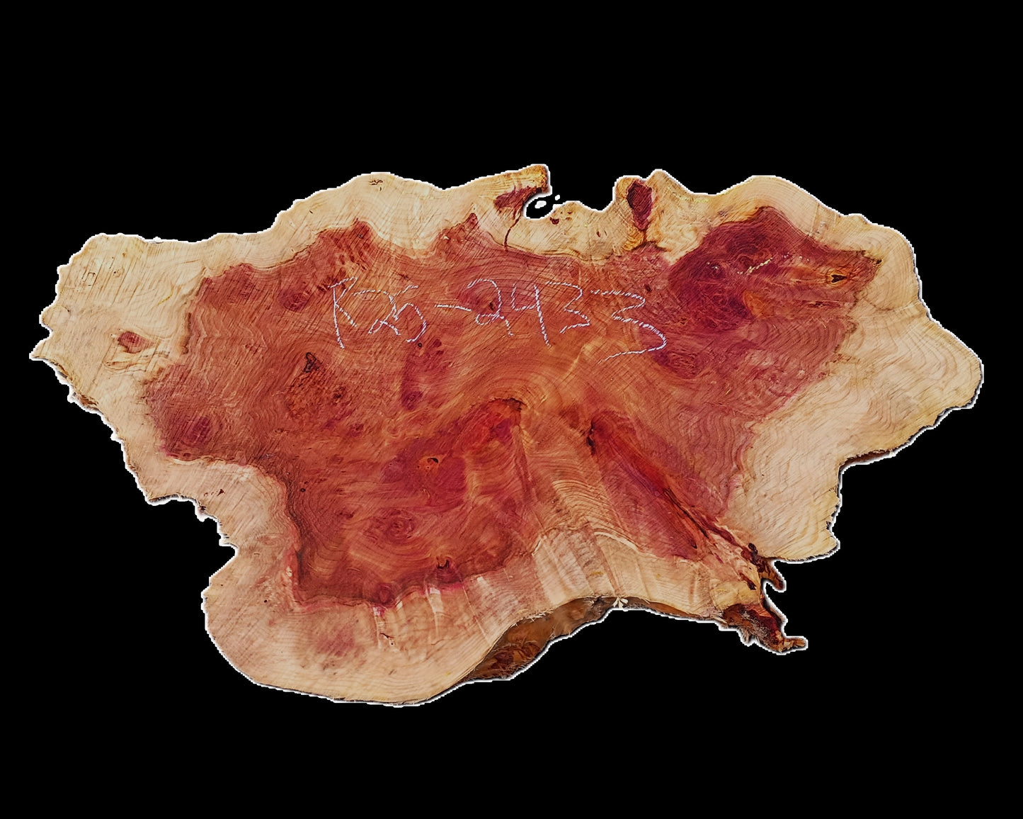 Redwood Lace Burl | Craft Wood | Table | DIY | R25-2433
