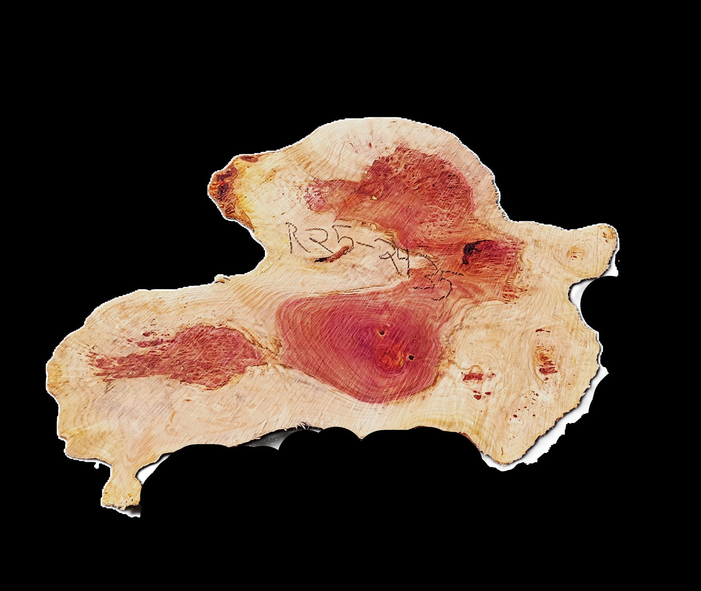 Redwood Lace Burl | Craft Wood | Table | DIY | R25-2435