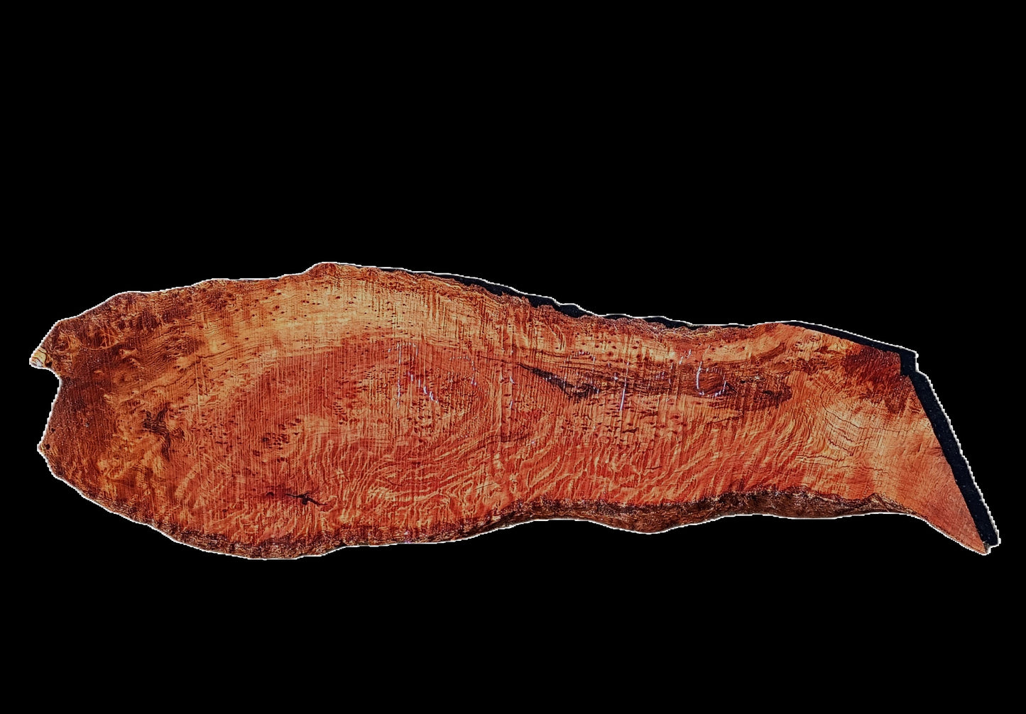 Redwood Burl | DIY Crafts | Burl Slab | River Table | R25-2486