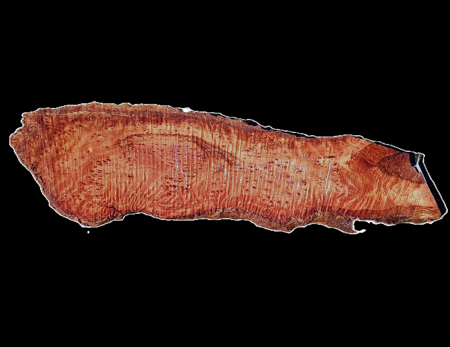 Redwood Burl | DIY Crafts | Burl Slab | River Table | R25-2487