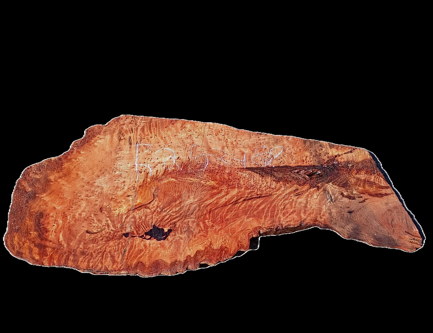 Redwood Burl | DIY Crafts | Burl Slab | River Table | R25-2488