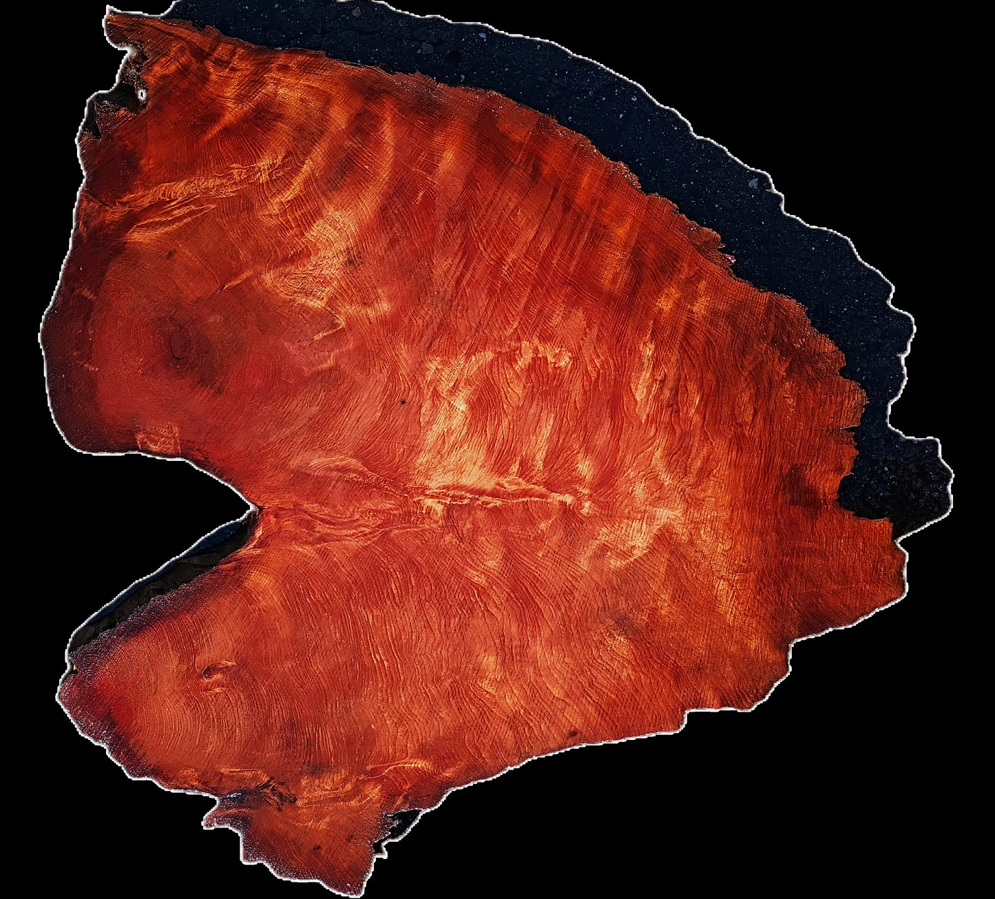 Redwood Slab | DIY Crafts | Old Growth | Craft Wood | R25-2506