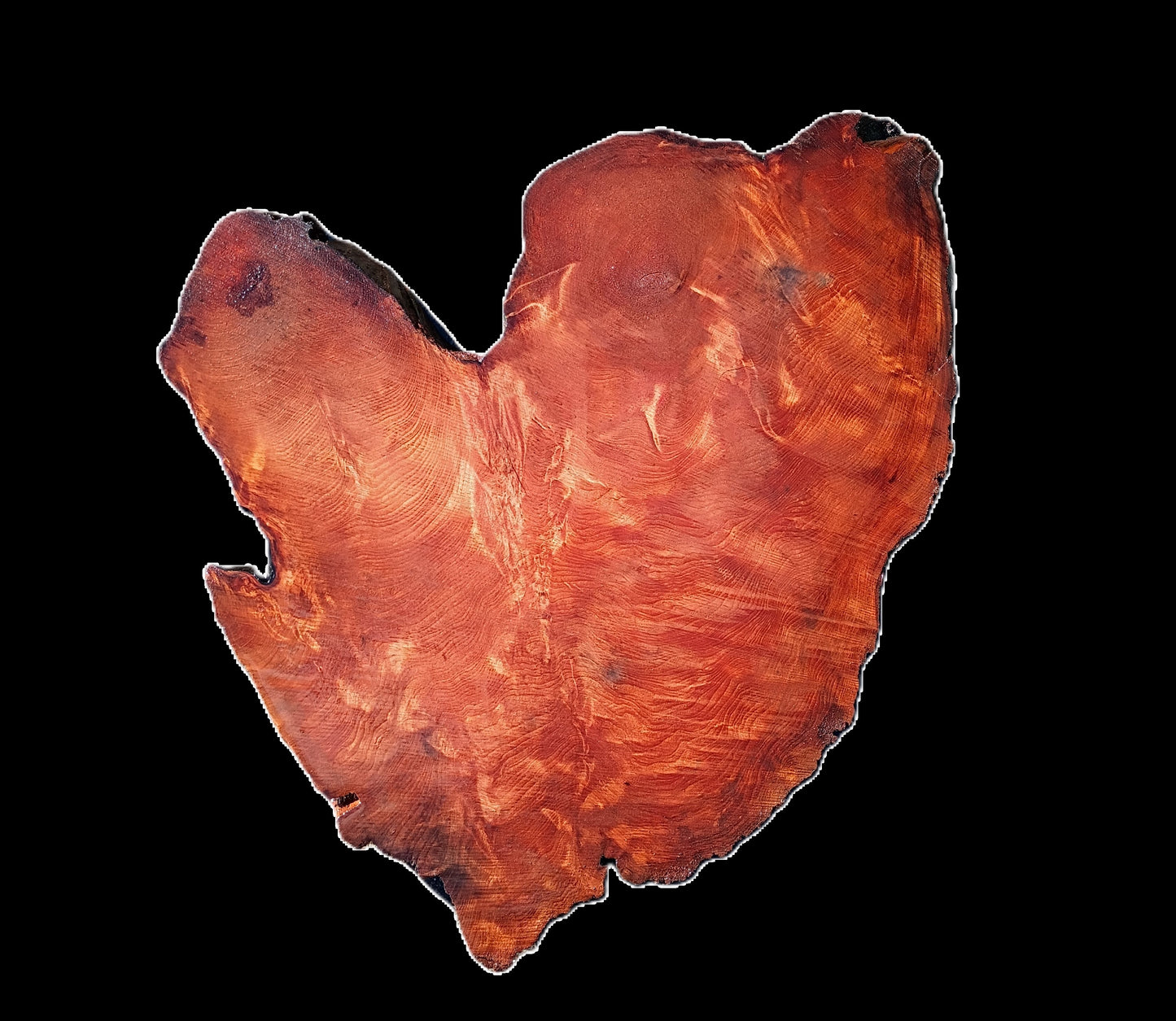 Redwood Slab | DIY Crafts | Burl Slab | Craft Wood | R25-2507