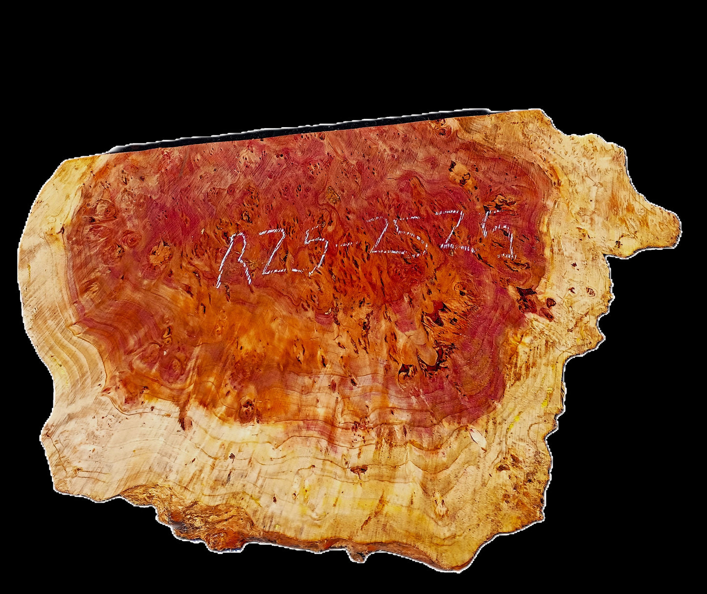 Redwood Lace Burl | DIY Crafts | River Table | R25-2525