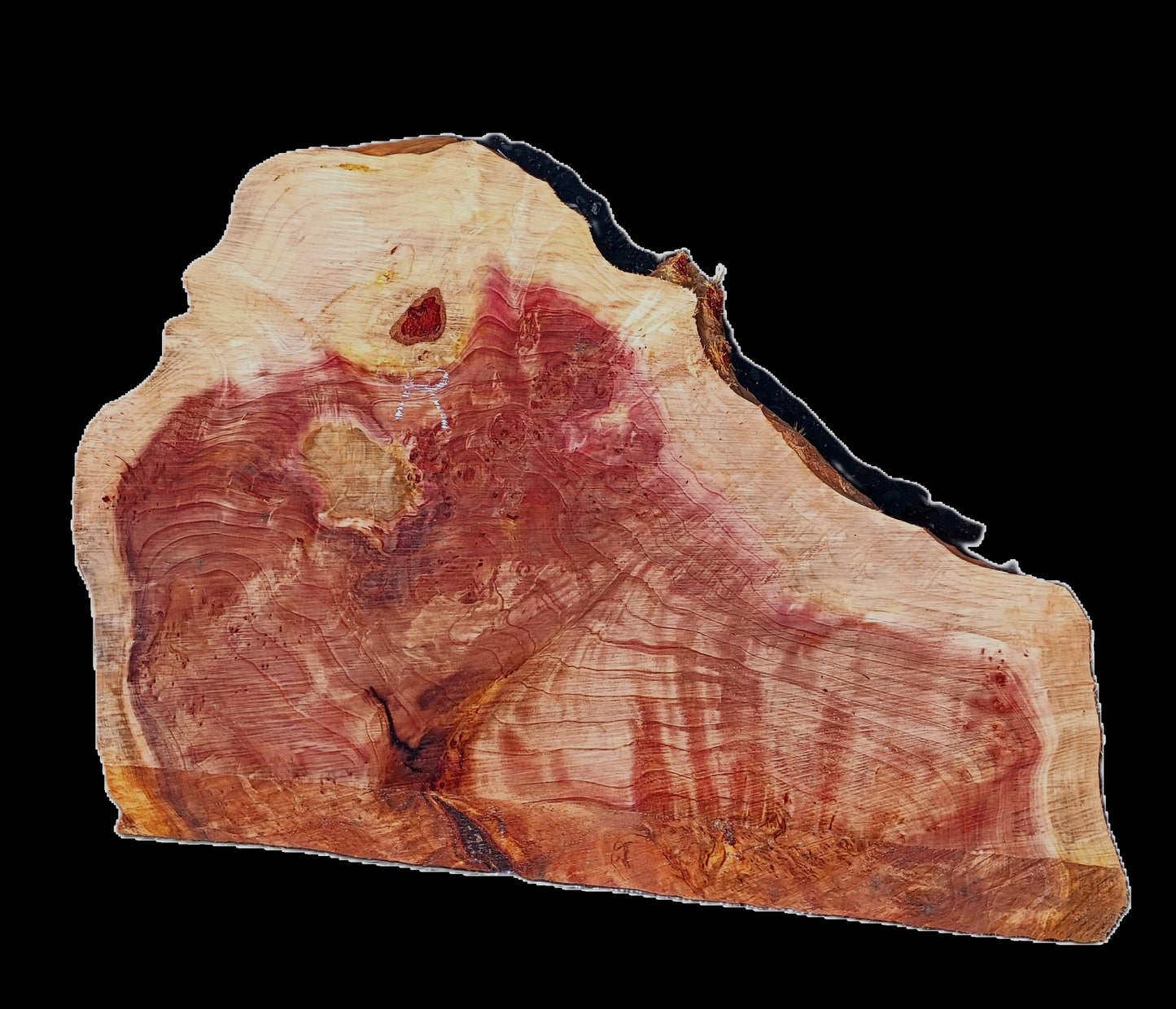 Redwood Burl | DIY Crafts | River Table | R25-2527